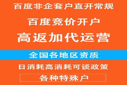 竞价推广代运营成功案例分析